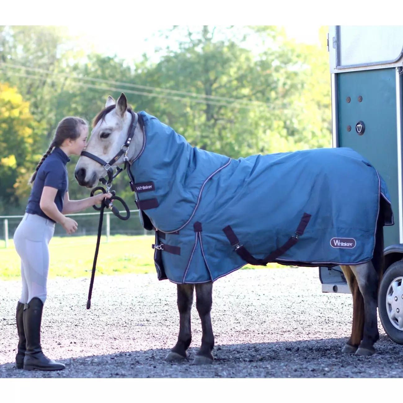 Whitaker R281 Lupin 250g Detachable Neck - Image 5