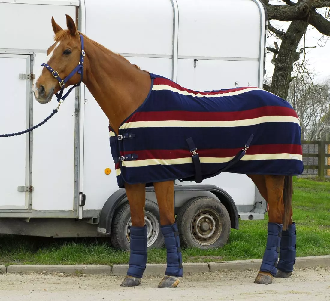 Rhinegold Elite Fleece Rug
