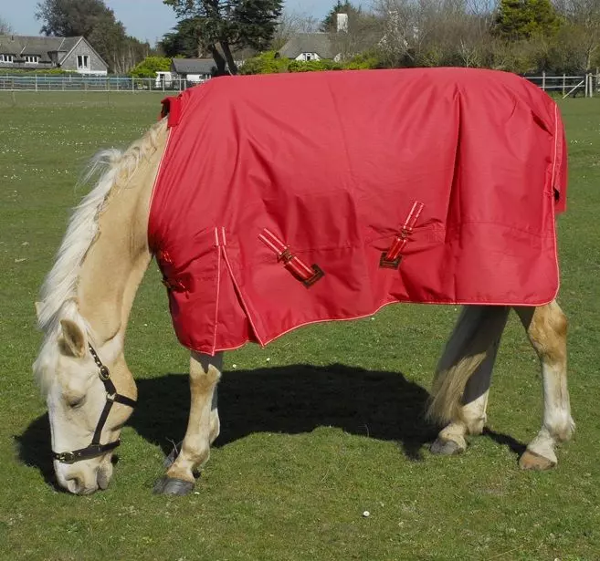Rhinegold Torrent Lightweight Turnout Rug - Image 14