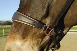 Rocco Italia Turin Leather Headcollar