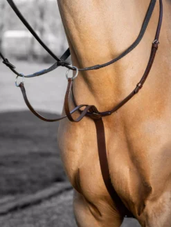 LeMieux Arika Running Martingale