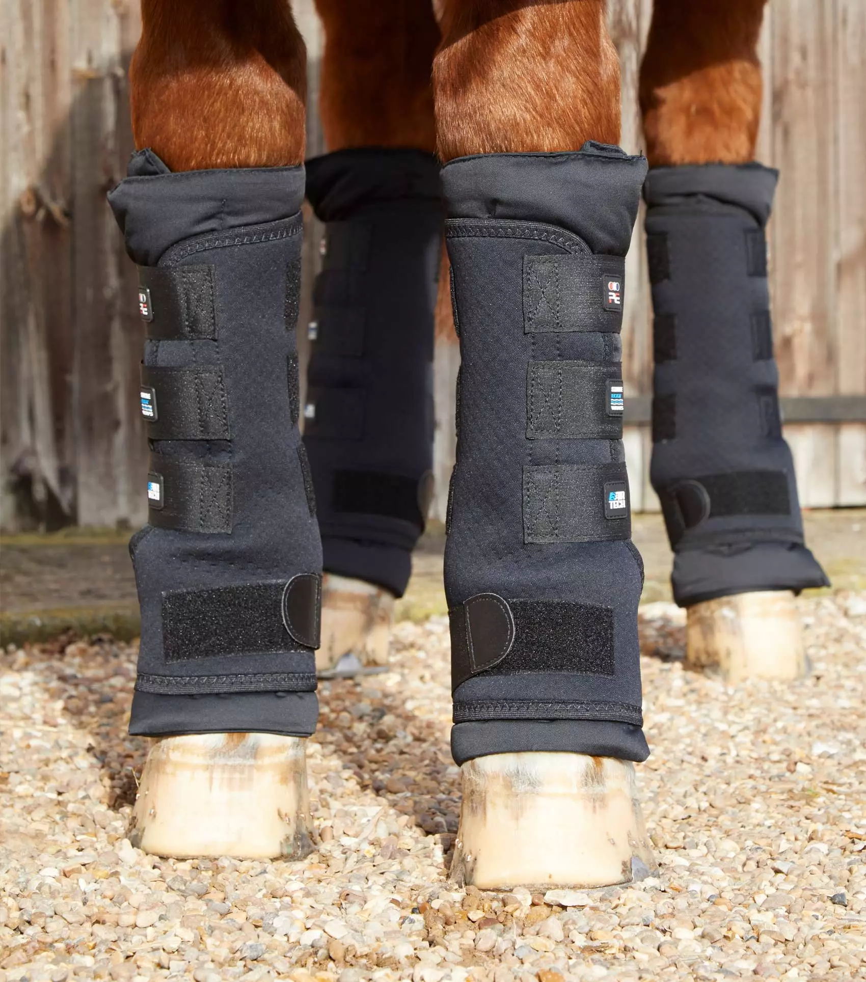 Premier Equine Stable Boot Wraps - Black - Image 20