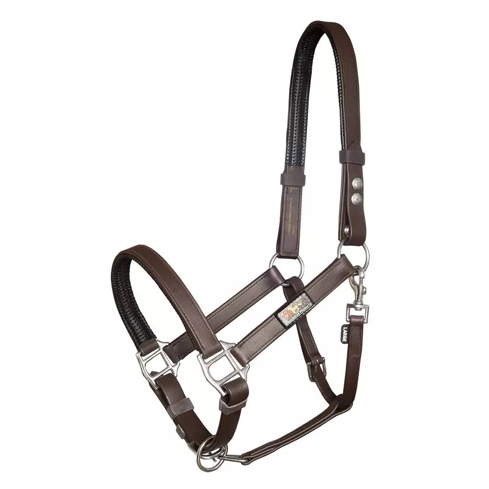 Equilibrium Stellar Headcollar - Image 4