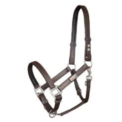 Equilibrium Stellar Headcollar