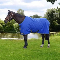 StormX Original 100 Turnout Rug - Royal Blue