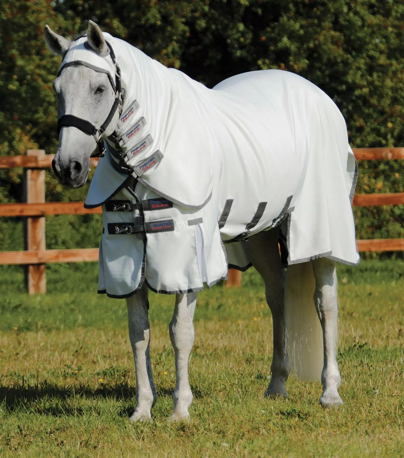 Premier Equine Sweet Itch Buster Fly Rug With Belly Flap - Image 4