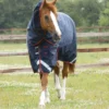 Premier Equine Titan 450g Turnout Rug With Snug-Fit Neck Cover