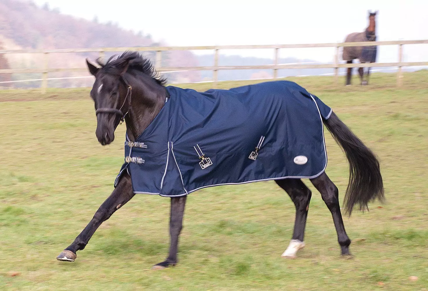 Rhinegold Torrent Lightweight Turnout Rug - Image 13
