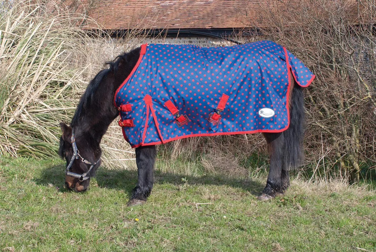 Rhinegold Torrent Lightweight Turnout Rug - Image 8