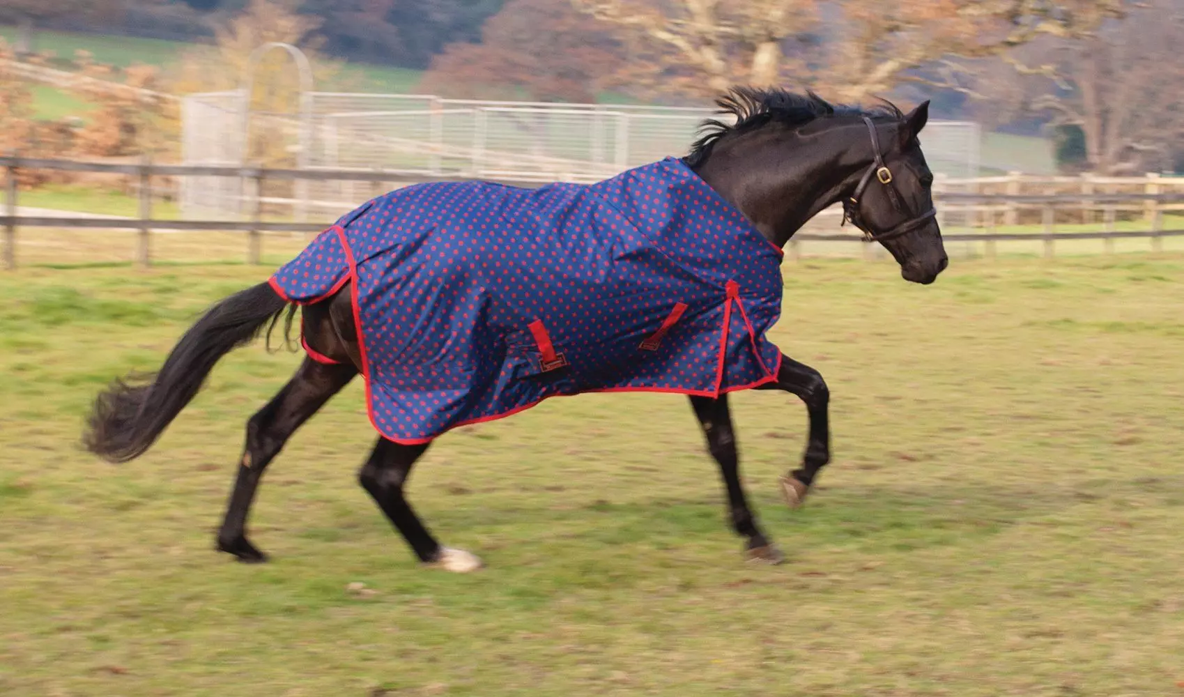 Rhinegold Torrent Lightweight Turnout Rug - Image 10