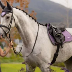 LeMieux Earth GP Square