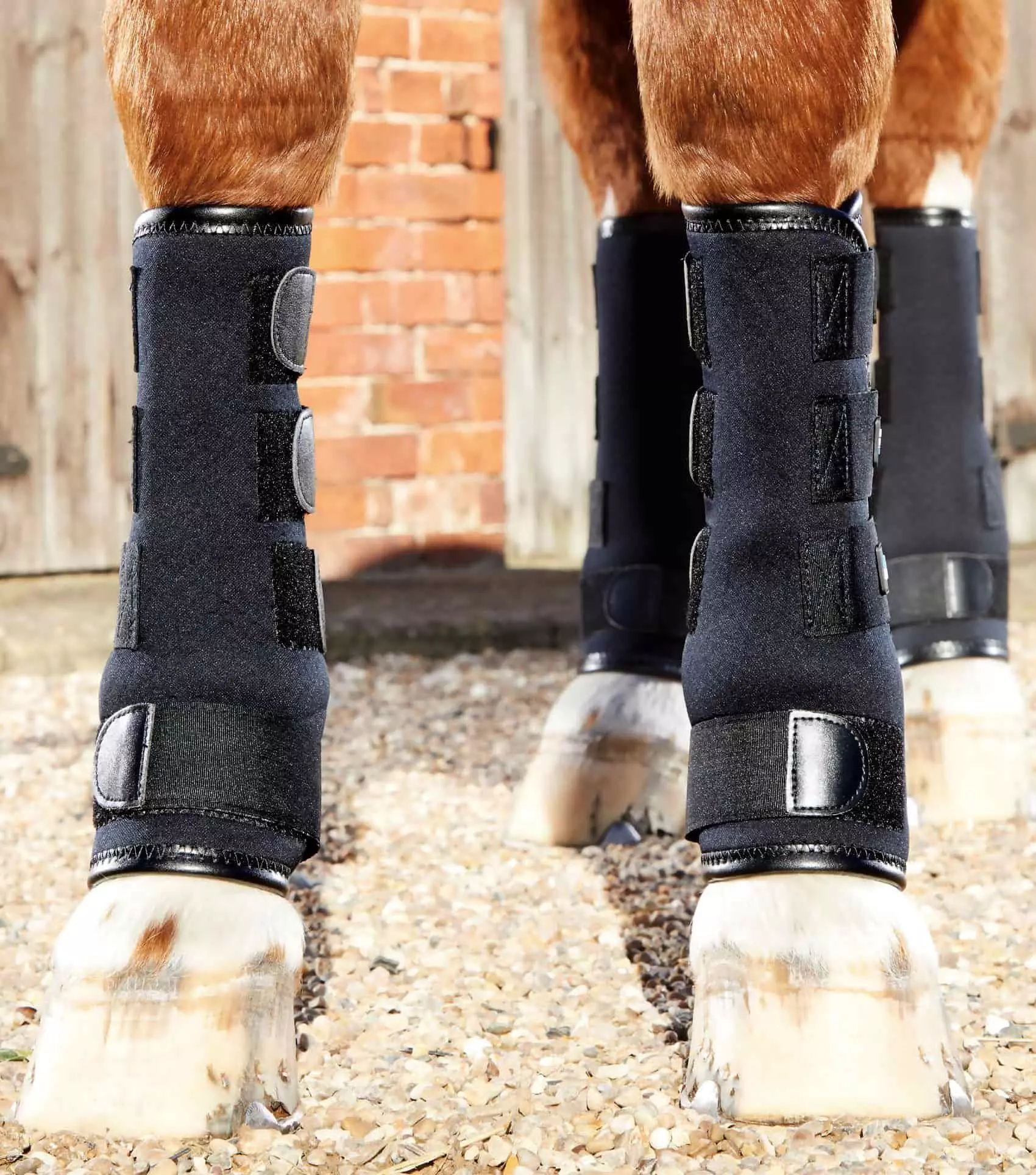 Premier Equine Turnout Boots - Image 15