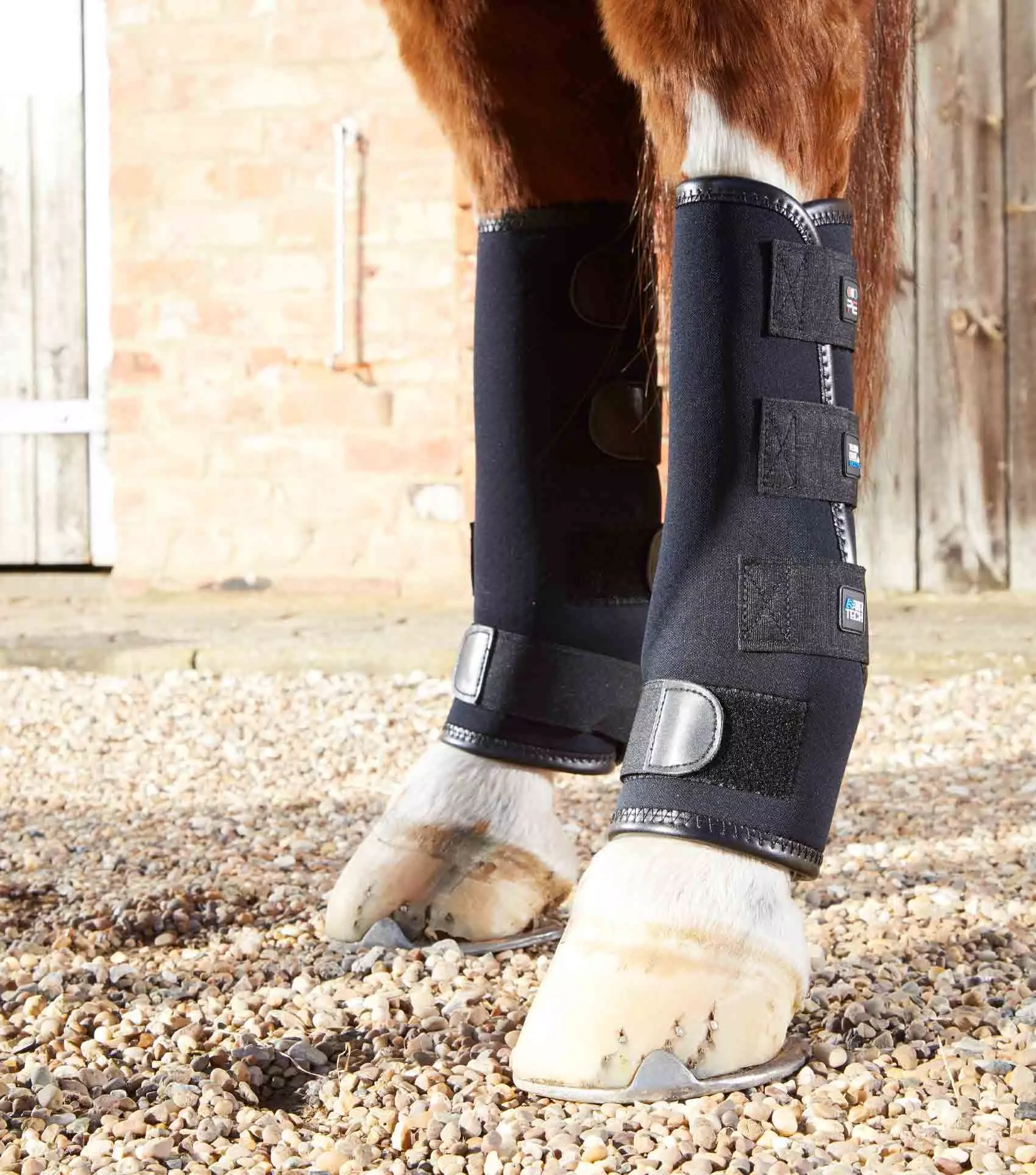 Premier Equine Turnout Boots - Image 2