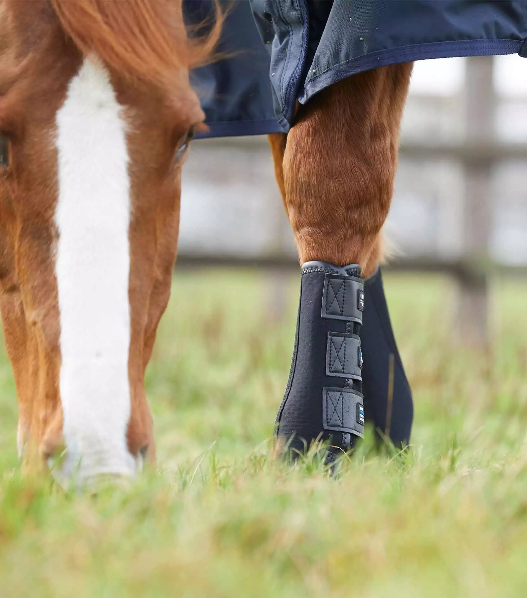 Premier Equine Turnout/ Mud Fever Boots - Image 15