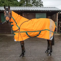 John Whitaker Seacroft Detach A Neck Turnout Rug
