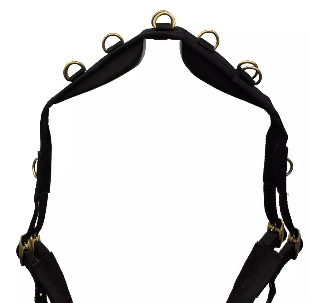 Windsor. Windsor Synthetic Roller - Image 2